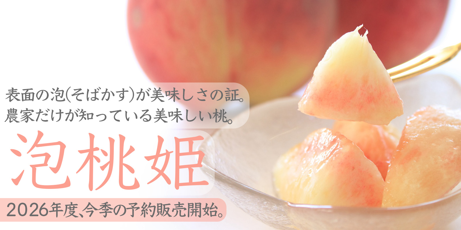 泡桃姫予約スタート