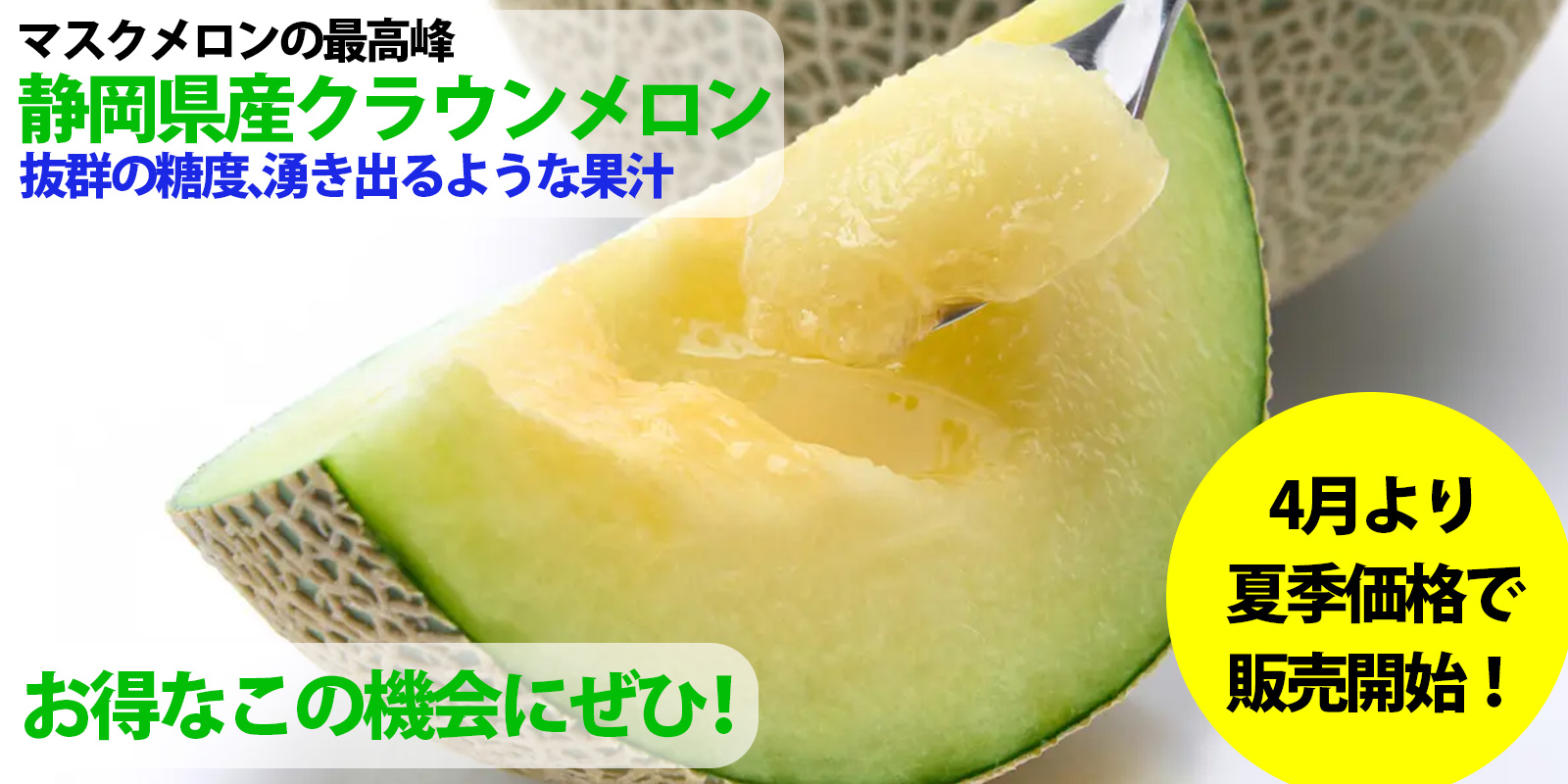 静岡県産メロン夏季価格スタート