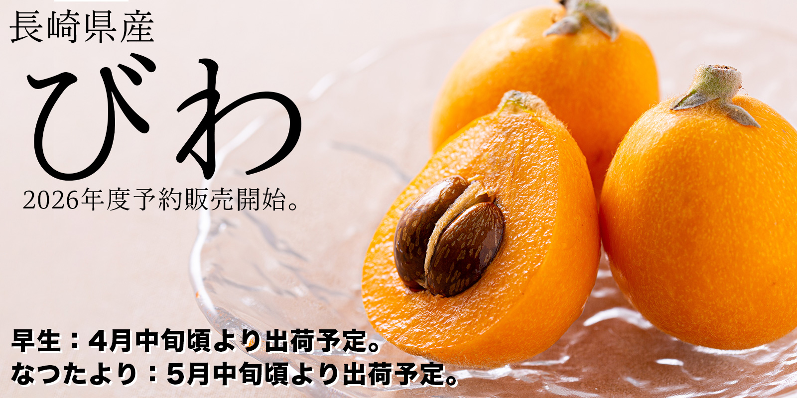 2026年度びわ予約開始