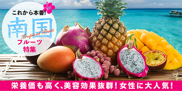 これからが本番！南国フルーツ特集。 class=