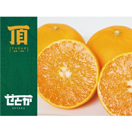 愛媛県産みかん 品種：頂 せとか12玉入 約3kg前後 | WOW