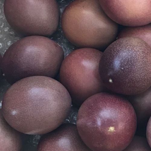 パッションフルーツ1