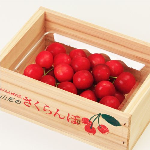 出荷：6月中旬頃から】山形県産さくらんぼ 佐藤錦 特選品 L・2L混合