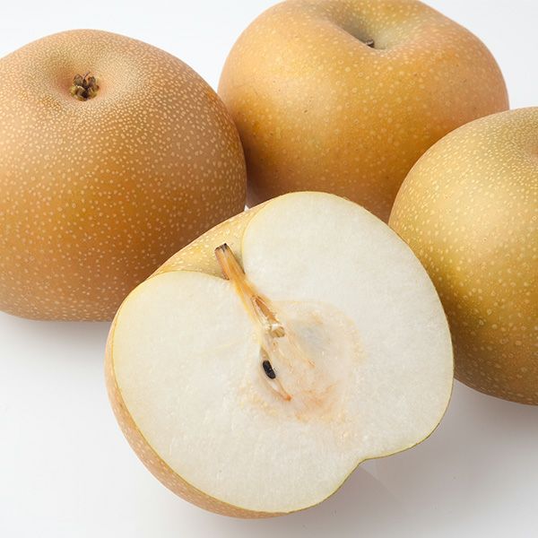 出荷時期：9月下旬から10月下旬】宮城県産 あきづき梨 5kg 大玉 8-10個